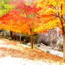 2019-주089 이미지