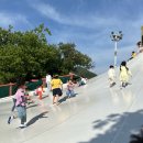 동백키즈약국 | 5월 2주차 일기(일기가 밀리기 전에...)