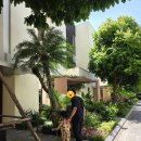 오행약국 | [다낭 4일차] 등산과 휴식의 날(오행산/포틴13/쇼핑간단후기)