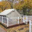 펫맘애 | 강원도 애견동반캠핑장 정선펫캠핑장 개별펜스 목재체험