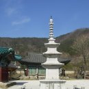 홍제사 Daum카페
