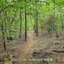 이정경로당 이미지