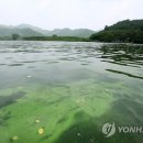 낙동강물환경연구소 이미지