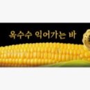 처갓집양념치킨두정역점 네이버블로그
