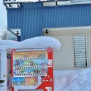 세븐일레븐 인제서화스타점 | 홋카이도 삿포로 여행 일정 추천 겨울 필수 코스 비에이 투어 내돈내산 후기