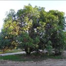 석식농장 이미지