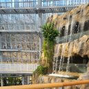 장미어린이공원 | 포항 환호공원 식물원 주차장 맛집 카페 입장료 위치 관람시간 애견동반 직접방문 솔직후기 장단점