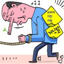 헤데라컴퍼니 | 소비자 기만 H컴퍼니몰 헤데라컴퍼니의 반격 주문 강제 취소