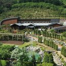 진안고원치유의숲 이미지