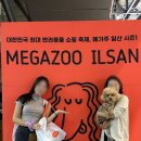 (주)기호 | 강아지 동반여행 서울 근교 애견동반 산책 킨텍스 메가주 첫날 후기