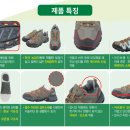 세이프투유