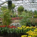 오랜만의 일상탈출- 충남 아산 세계 꽃 식물원 이미지