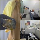 위드메디칼 | 일산 브라질리언 왁싱｜3년차 왁싱러가 다녀온 슈가링 후기! 뷰티, 더위드