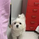 당진시 교동2길 33-18 | 오랜만에 대구 나들이~ 근데 청모를 곁들인💌