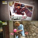 반려당 이미지