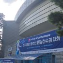 리토펜싱