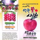 빛마루농장 이미지