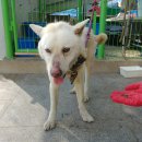 광산구-119 이미지