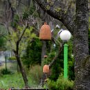 춤추는꽃동네 이미지