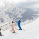 상순목장 이미지