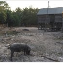 시냇물 2 농장 이미지