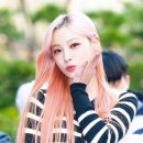 예주 Daum카페
