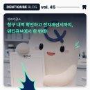 시즌치과기공소 네이버블로그
