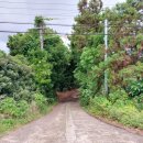 고성리-8 이미지