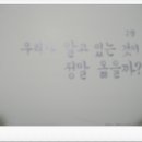 나무21