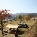 장남동산농원 이미지