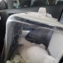 의왕동물병원 | **[반려동물 이동 서비스 이용 후기] 의왕 → 송파 에코동물병원 왕복 이용 후기 🐾**