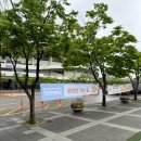 미래체육관 | 2025 권진아 단독 콘서트[The Dreamest] 후기 / 잠실실내체육관29구역2열 시야