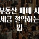 세금과사람들 이미지