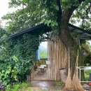 하우스못골 이미지