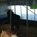 태성농장1 이미지