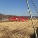 군내면 사무소 이미지