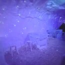 태백낚시 | 태백산눈꽃축제 아이랑 함께♥겨울에 아이랑 가볼만한 곳, 태백눈꽃축제2026