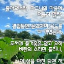 지수법사 염불법문 인생의 희망과 생명의 귀착점 이미지