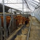 강원농장 이미지