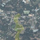 대흘1리 뉴스1