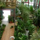 녹색화원 이미지