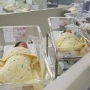 Is Korea on track for recovery in births, marriages? 출산과 결혼이 회복 국면에 들어갔는가? 이미지