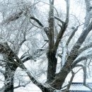 함평향교 이미지