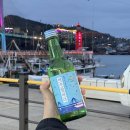낭만포차100도포차