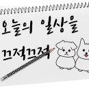 소한마리통으로 이미지