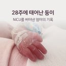 엄마,아빠는 무얼하고 놀았을까? | 28주 조산 후 NICU 두 달… 이른둥이 엄마가 버틴 방법