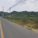 본토공인중개사사무소 이미지