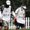 태양팜스