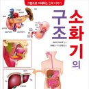 권구조 이미지