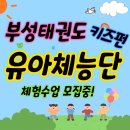 국가대표 부성태권도 이미지